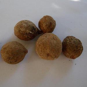 Vibhitaki Powder (Terminalia Bellerica)